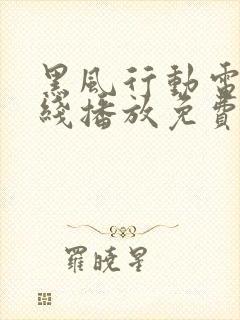 黑风行动电影在线播放免费