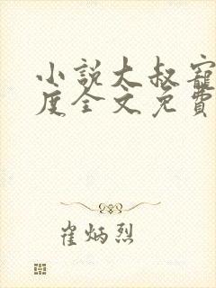 小说大叔宠妻无度全文免费