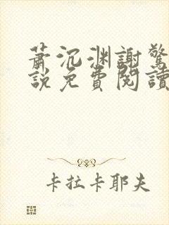 萧沉渊谢惊澜小说免费阅读最新章节