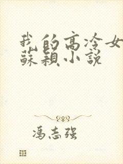 我的高冷女总裁苏颖小说