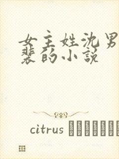 女主姓沈男主姓裴的小说