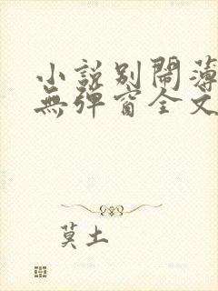 小说别闹薄先生无弹窗全文免费阅读