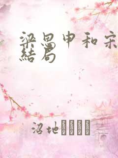 梁思申和宋运辉结局