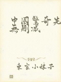 中国惊奇先生 无删减