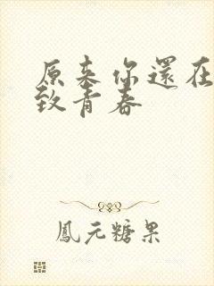 原来你还在这里致青春