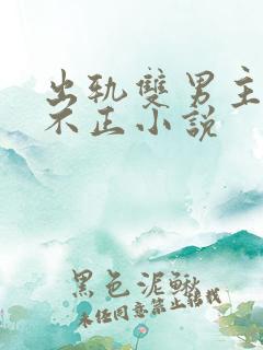 出轨双男主三观不正小说