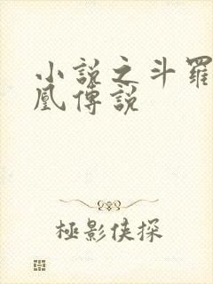 小说之斗罗之龙凰传说