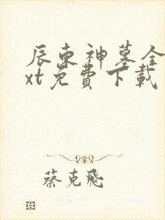 辰东神墓全本txt免费下载