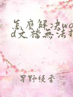 怎么解决word文档无法打开