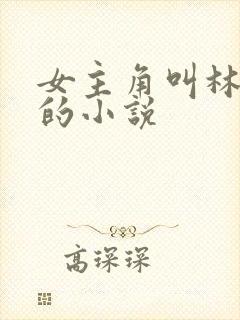 女主角叫林婉婉的小说