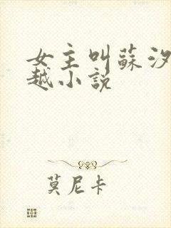 女主叫苏汐的穿越小说