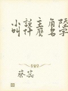 小说主角陆凡的叫什么名字