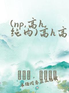 (np,高h,纯肉)高h高辣小说