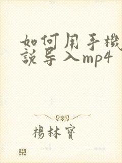 如何用手机将小说导入mp4