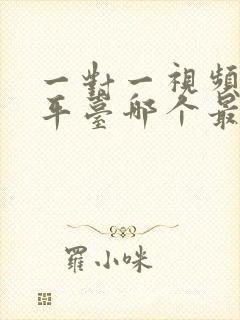 一对一视频聊天平台哪个最赚钱