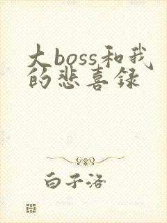 大boss和我的悲喜录