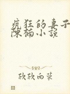 疯狂的妻子林瑶陈楠小说