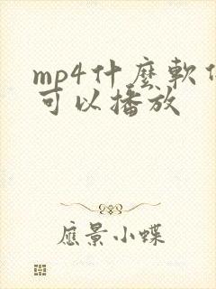 mp4什么软件可以播放