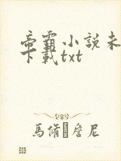 帝霸小说未删版下载txt