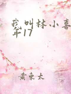 我叫林小喜 今年17