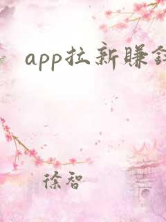 app拉新赚钱