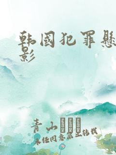 韩国犯罪悬疑电影