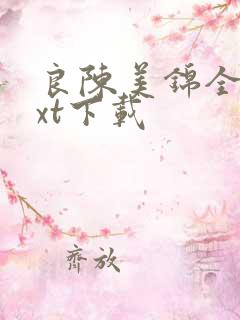 良陈美锦全本txt下载