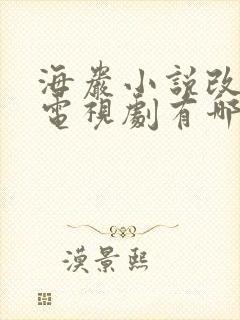 海岩小说改编的电视剧有哪些