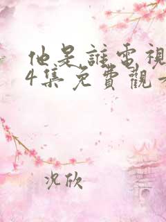 他是谁电视剧24集免费观看