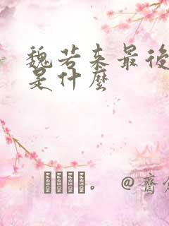 魏若来最后结局是什么