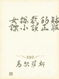 女总裁的贴身保镖小说正版