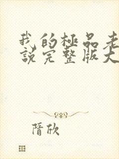 我的极品老婆小说完整版大结局