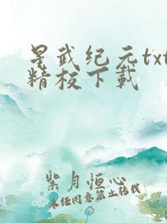 星武纪元txt精校下载