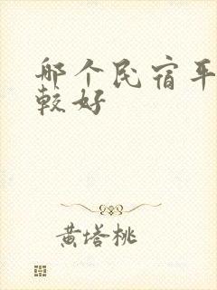 哪个民宿平台比较好