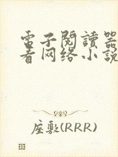 电子阅读器可以看网络小说吗