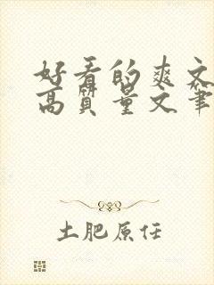 好看的爽文小说高质量文笔好