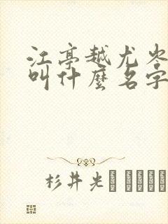 江亭越尤岑小说叫什么名字