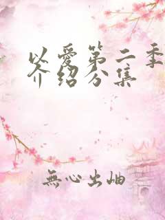 以爱第二季剧情介绍分集