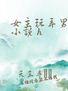 女主玩弄男人的小说 h