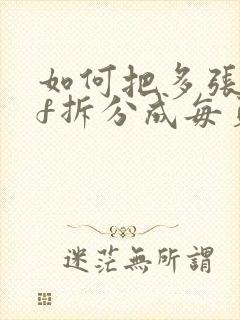 如何把多张pdf拆分成每页一张