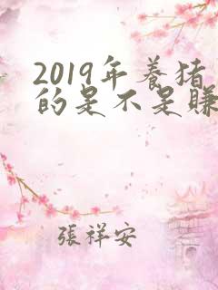 2019年养猪的是不是赚疯了