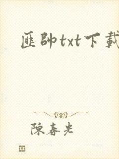 匪帅txt下载