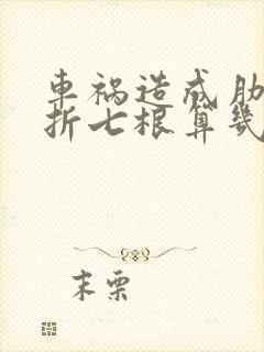 车祸造成肋骨骨折七根算几级伤