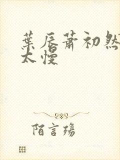 叶辰萧初然更新太慢