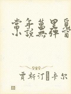 当年万里觅封侯小说无弹窗