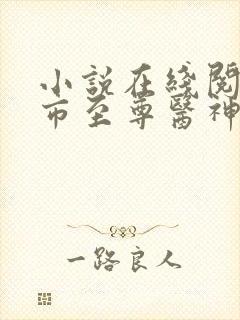 小说在线阅读都市至尊医神