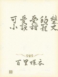 可爱受的双男主小说甜宠文