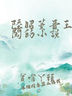 陆昭菱晋王周时阅的小说