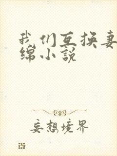 我们互换妻子缠绵小说