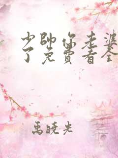 少帅你老婆又跑了免费看全文